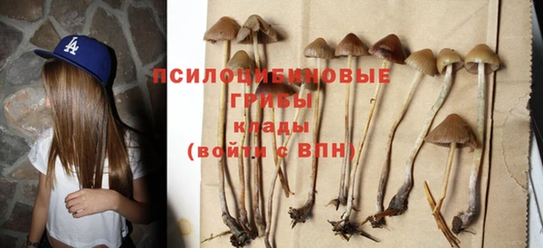 твердый Верея
