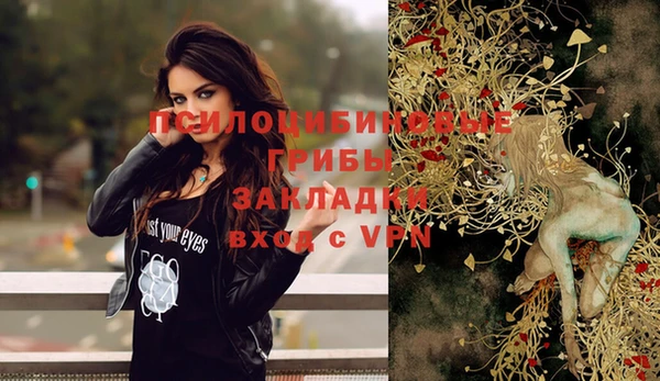 PSILOCYBIN Верхнеуральск